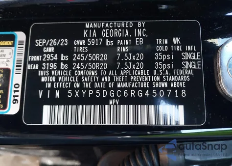 2024 Kia Telluride Sx from USA, damaged, VIN 5XYP5DGC6RG450718